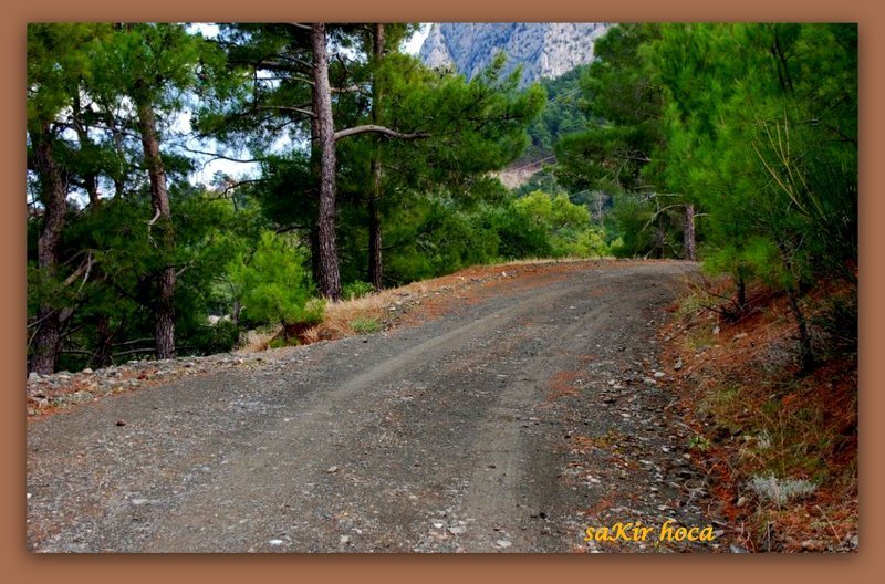 ÃƒÂƒÃ‚ÂƒÃƒÂ‚Ã‚Â§andÃƒÂƒÃ‚Â„ÃƒÂ‚Ã‚Â±r 10.jpg