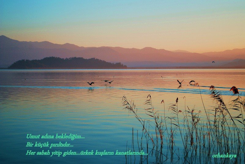 ÃƒÂƒÃ‚ÂƒÃƒÂ‚Ã‚Â‡ANDIR 179.JPG