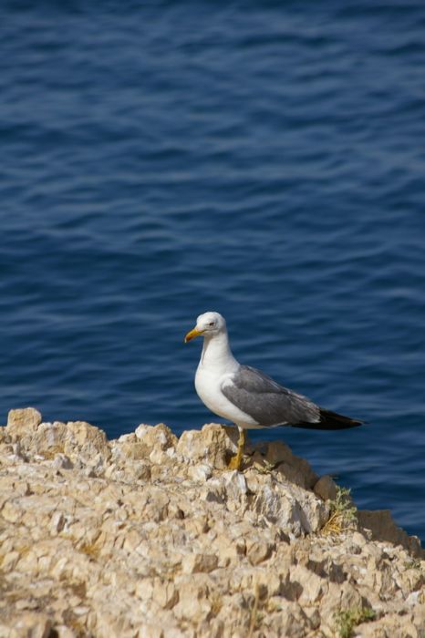 ÃƒÂƒÃ‚ÂƒÃƒÂ‚Ã‚Â‡arpanak AdasÃƒÂƒÃ‚Â„ÃƒÂ‚Ã‚Â±4.jpg