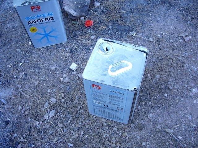 ÃƒÂƒÃ‚ÂƒÃƒÂ‚Ã‚Â‡ingen TavuÃƒÂƒÃ‚Â„ÃƒÂ‚Ã‚ÂŸu 01.jpg
