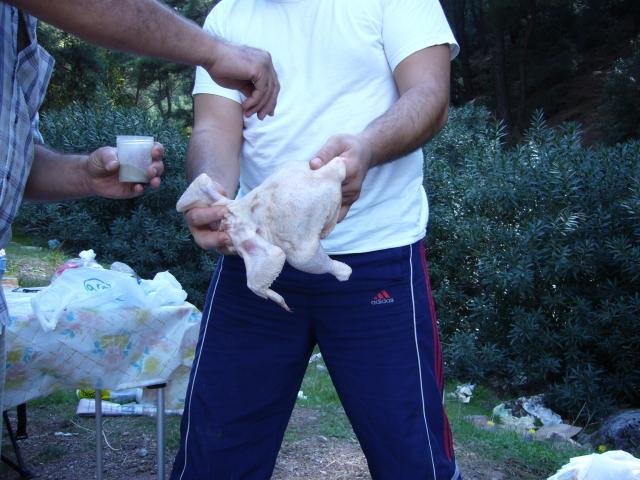 ÃƒÂƒÃ‚ÂƒÃƒÂ‚Ã‚Â‡ingen TavuÃƒÂƒÃ‚Â„ÃƒÂ‚Ã‚ÂŸu 05.jpg