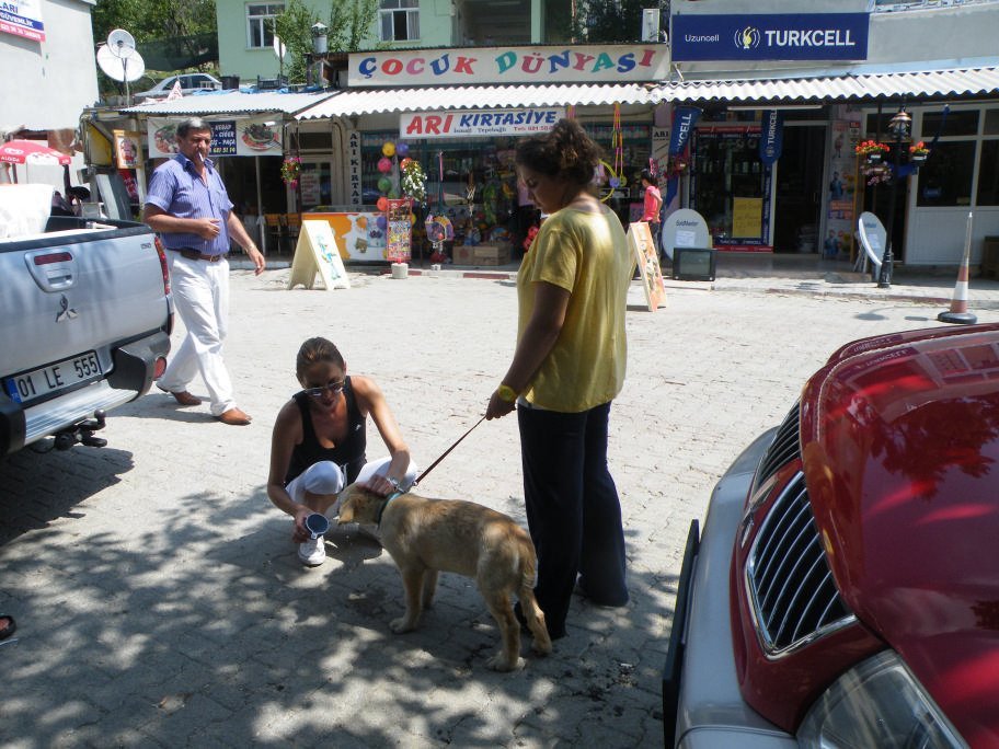 ÃƒÂƒÃ‚ÂƒÃƒÂ‚Ã‚Â§inili cÃƒÂƒÃ‚Â„ÃƒÂ‚Ã‚Â±kmazÃƒÂƒÃ‚Â„ÃƒÂ‚Ã‚Â± 044.jpg