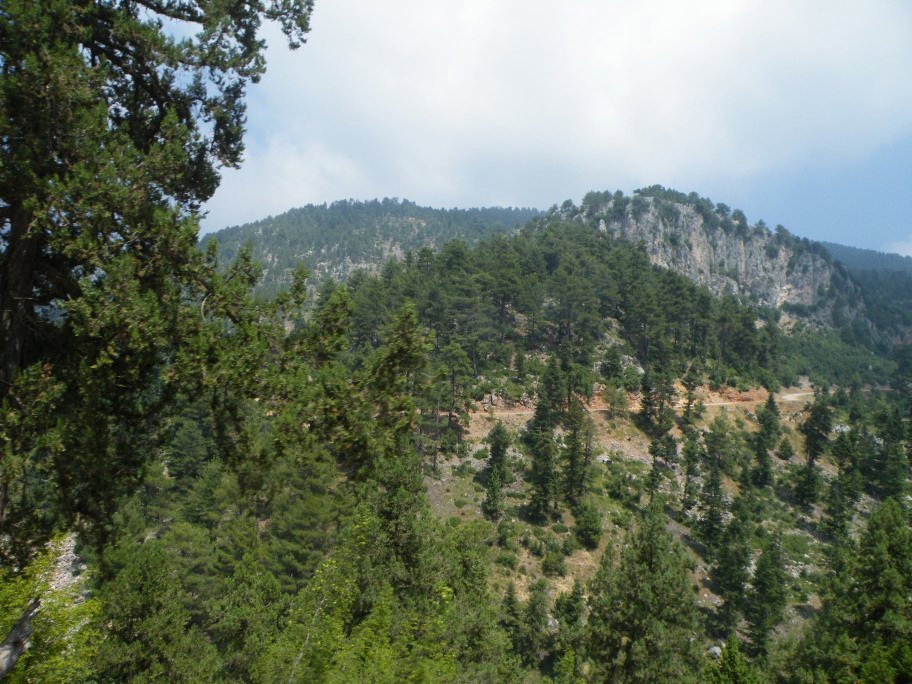 ÃƒÂƒÃ‚ÂƒÃƒÂ‚Ã‚Â§inili cÃƒÂƒÃ‚Â„ÃƒÂ‚Ã‚Â±kmazÃƒÂƒÃ‚Â„ÃƒÂ‚Ã‚Â± 051.jpg