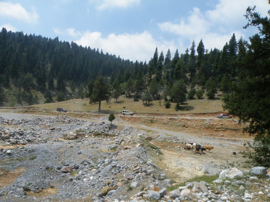 ÃƒÂƒÃ‚ÂƒÃƒÂ‚Ã‚Â§inili cÃƒÂƒÃ‚Â„ÃƒÂ‚Ã‚Â±kmazÃƒÂƒÃ‚Â„ÃƒÂ‚Ã‚Â± 062.jpg