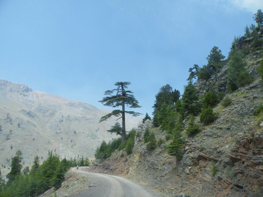 ÃƒÂƒÃ‚ÂƒÃƒÂ‚Ã‚Â§inili cÃƒÂƒÃ‚Â„ÃƒÂ‚Ã‚Â±kmazÃƒÂƒÃ‚Â„ÃƒÂ‚Ã‚Â± 097.jpg