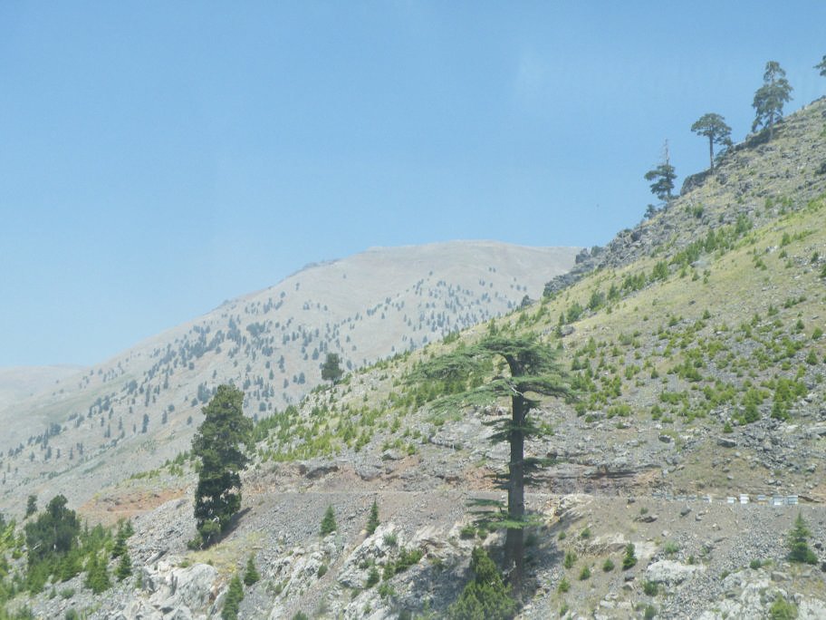 ÃƒÂƒÃ‚ÂƒÃƒÂ‚Ã‚Â§inili cÃƒÂƒÃ‚Â„ÃƒÂ‚Ã‚Â±kmazÃƒÂƒÃ‚Â„ÃƒÂ‚Ã‚Â± 101.jpg