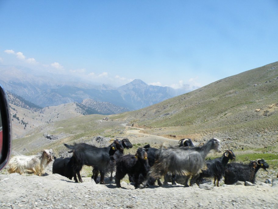 ÃƒÂƒÃ‚ÂƒÃƒÂ‚Ã‚Â§inili cÃƒÂƒÃ‚Â„ÃƒÂ‚Ã‚Â±kmazÃƒÂƒÃ‚Â„ÃƒÂ‚Ã‚Â± 112.jpg