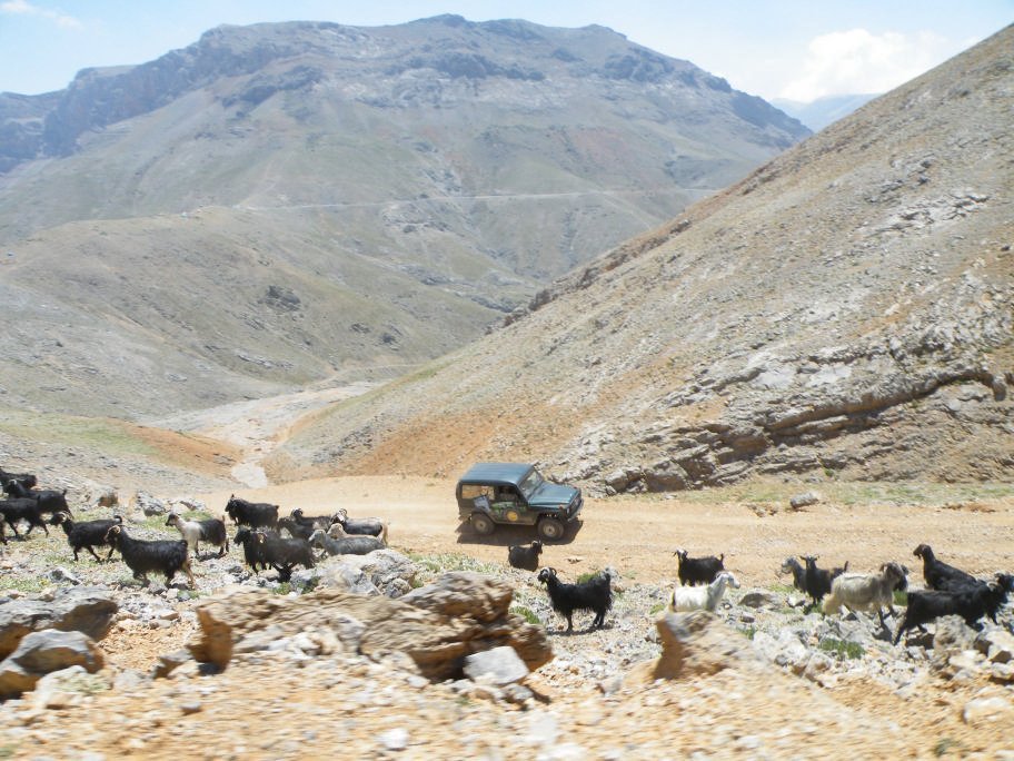 ÃƒÂƒÃ‚ÂƒÃƒÂ‚Ã‚Â§inili cÃƒÂƒÃ‚Â„ÃƒÂ‚Ã‚Â±kmazÃƒÂƒÃ‚Â„ÃƒÂ‚Ã‚Â± 125.jpg