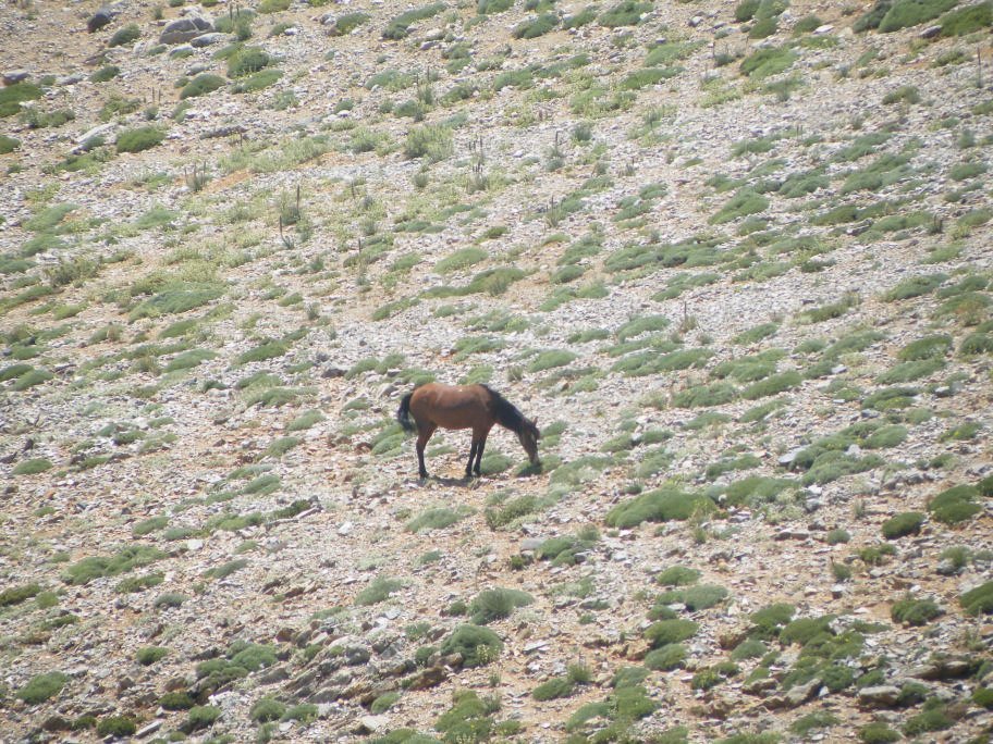 ÃƒÂƒÃ‚ÂƒÃƒÂ‚Ã‚Â§inili cÃƒÂƒÃ‚Â„ÃƒÂ‚Ã‚Â±kmazÃƒÂƒÃ‚Â„ÃƒÂ‚Ã‚Â± 172.jpg