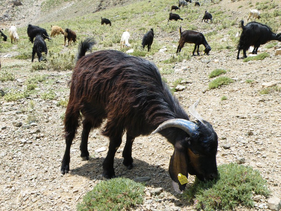 ÃƒÂƒÃ‚ÂƒÃƒÂ‚Ã‚Â§inili cÃƒÂƒÃ‚Â„ÃƒÂ‚Ã‚Â±kmazÃƒÂƒÃ‚Â„ÃƒÂ‚Ã‚Â± 184.jpg