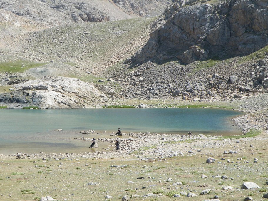 ÃƒÂƒÃ‚ÂƒÃƒÂ‚Ã‚Â§inili cÃƒÂƒÃ‚Â„ÃƒÂ‚Ã‚Â±kmazÃƒÂƒÃ‚Â„ÃƒÂ‚Ã‚Â± 278.jpg