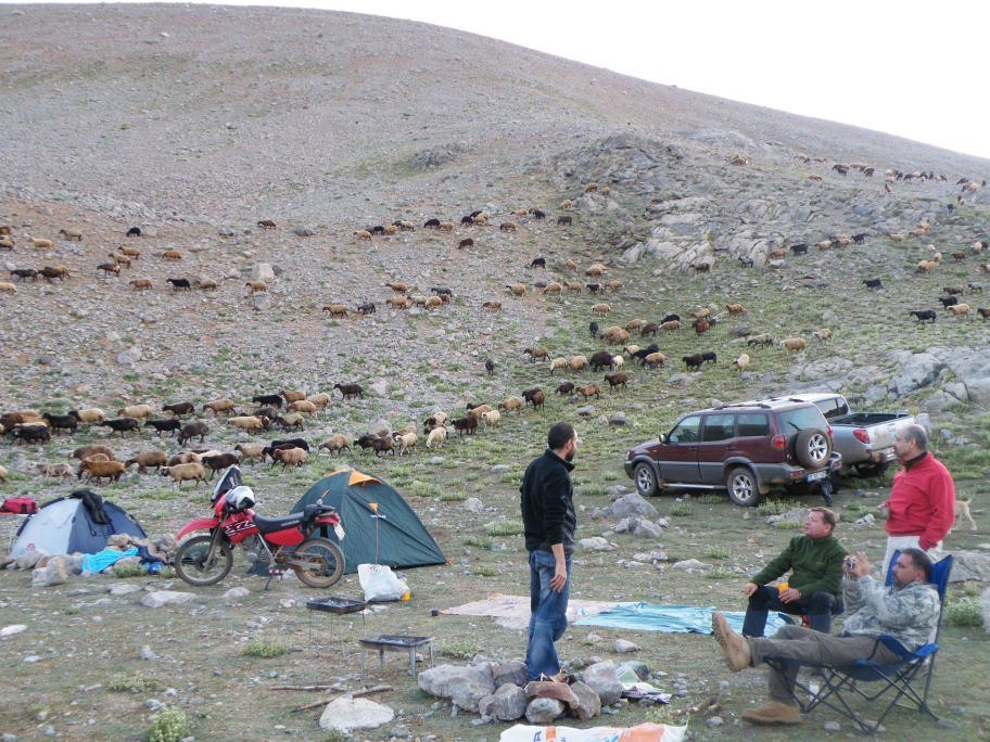 ÃƒÂƒÃ‚ÂƒÃƒÂ‚Ã‚Â§inili cÃƒÂƒÃ‚Â„ÃƒÂ‚Ã‚Â±kmazÃƒÂƒÃ‚Â„ÃƒÂ‚Ã‚Â± 376.jpg