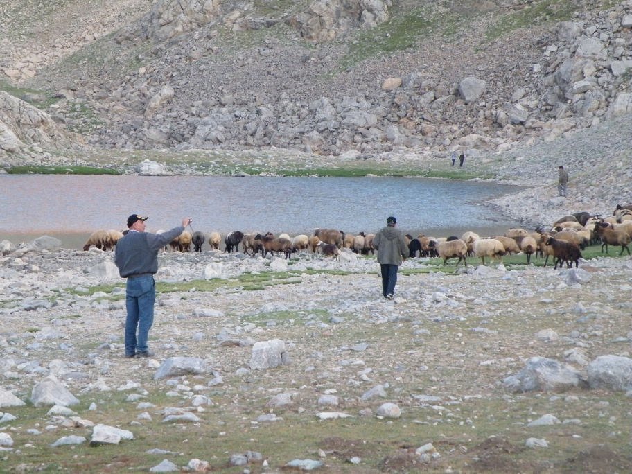 ÃƒÂƒÃ‚ÂƒÃƒÂ‚Ã‚Â§inili cÃƒÂƒÃ‚Â„ÃƒÂ‚Ã‚Â±kmazÃƒÂƒÃ‚Â„ÃƒÂ‚Ã‚Â± 377.jpg