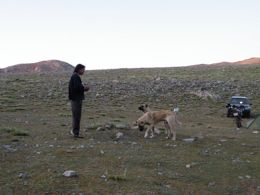 ÃƒÂƒÃ‚ÂƒÃƒÂ‚Ã‚Â§inili cÃƒÂƒÃ‚Â„ÃƒÂ‚Ã‚Â±kmazÃƒÂƒÃ‚Â„ÃƒÂ‚Ã‚Â± 380.jpg