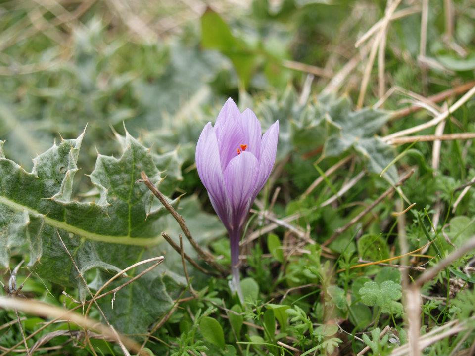 ÃƒÂƒÃ‚ÂƒÃƒÂ‚Ã‚Â–mer'in Objektifinden 005.jpg