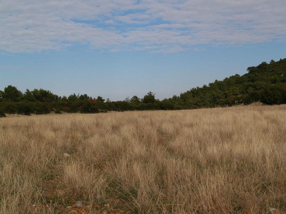 ÃƒÂƒÃ‚ÂƒÃƒÂ‚Ã‚Â–mer'in Objektifinden 023.jpg