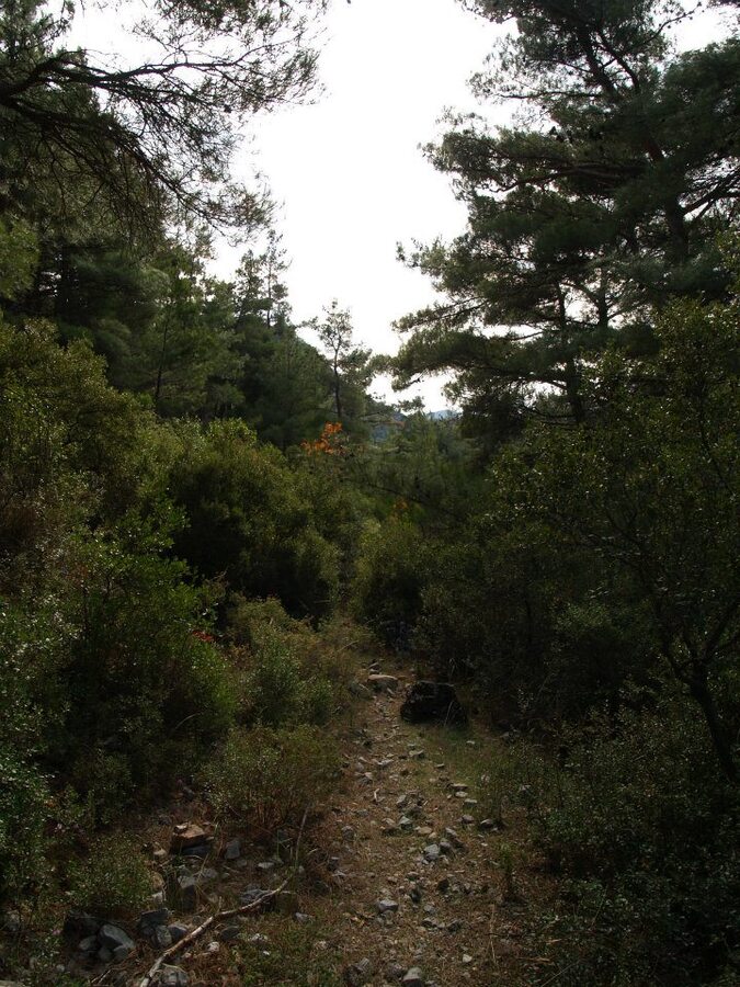 ÃƒÂƒÃ‚ÂƒÃƒÂ‚Ã‚Â–mer'in Objektifinden 028.jpg