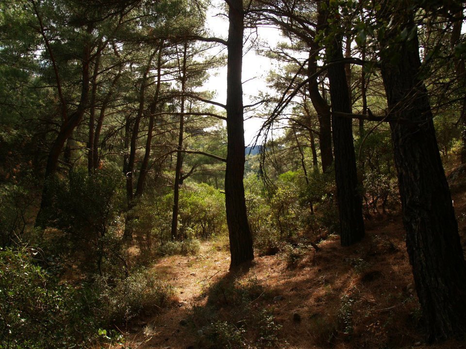 ÃƒÂƒÃ‚ÂƒÃƒÂ‚Ã‚Â–mer'in Objektifinden 029.jpg