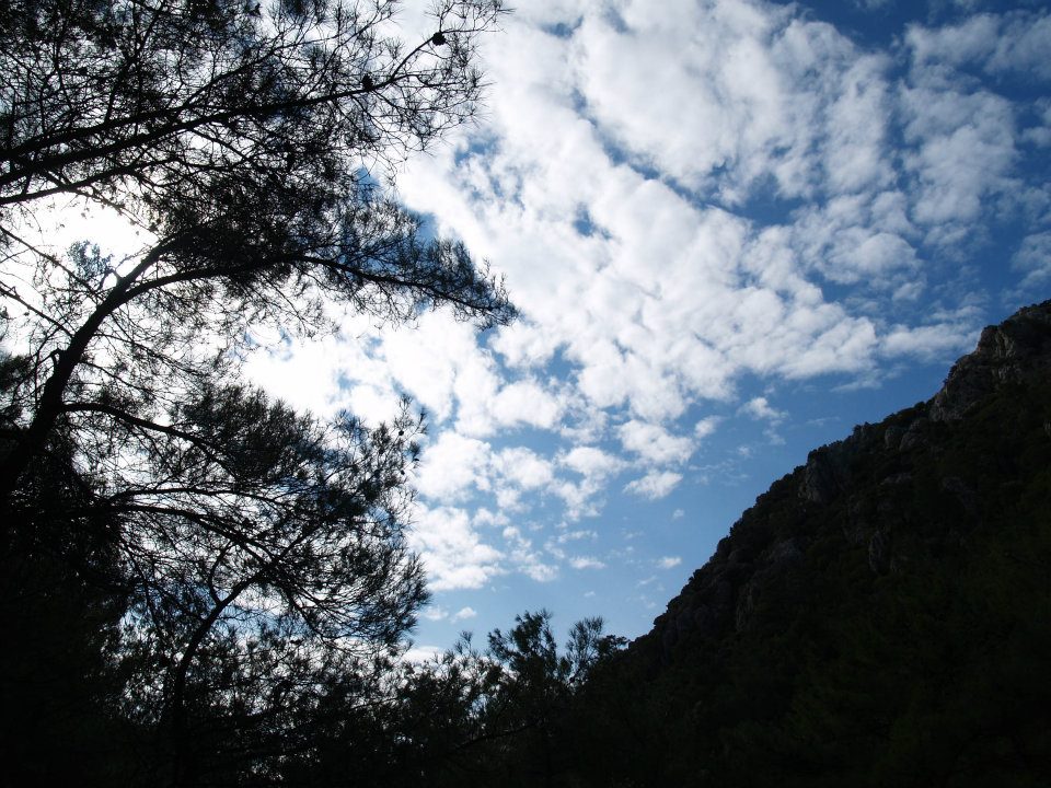 ÃƒÂƒÃ‚ÂƒÃƒÂ‚Ã‚Â–mer'in Objektifinden 034.jpg