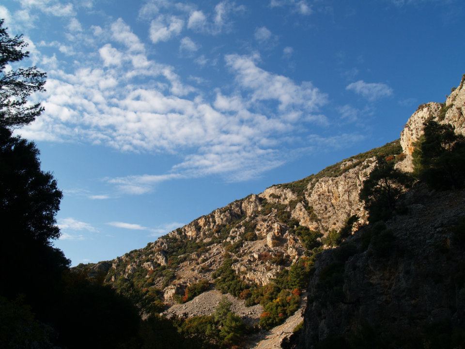 ÃƒÂƒÃ‚ÂƒÃƒÂ‚Ã‚Â–mer'in Objektifinden 058.jpg