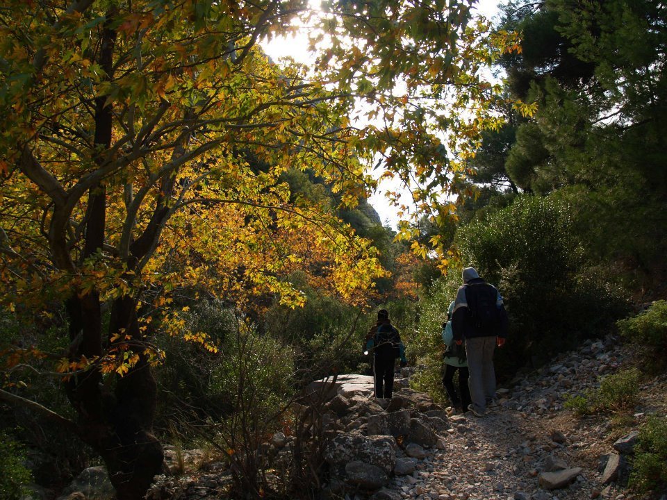 ÃƒÂƒÃ‚ÂƒÃƒÂ‚Ã‚Â–mer'in Objektifinden 060.jpg