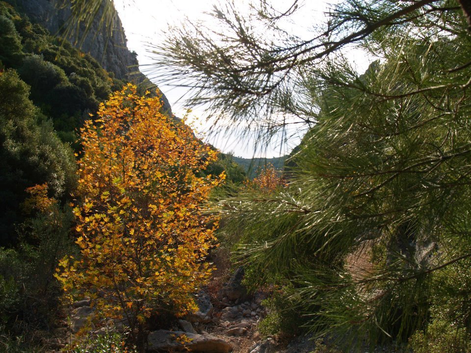 ÃƒÂƒÃ‚ÂƒÃƒÂ‚Ã‚Â–mer'in Objektifinden 061.jpg