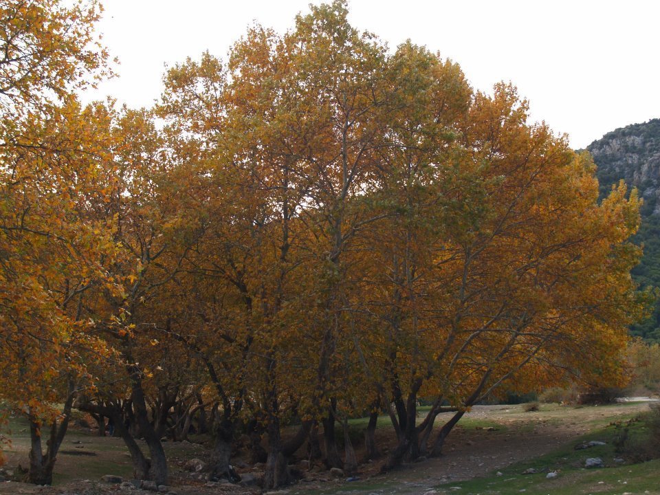 ÃƒÂƒÃ‚ÂƒÃƒÂ‚Ã‚Â–mer'in Objektifinden 064.jpg