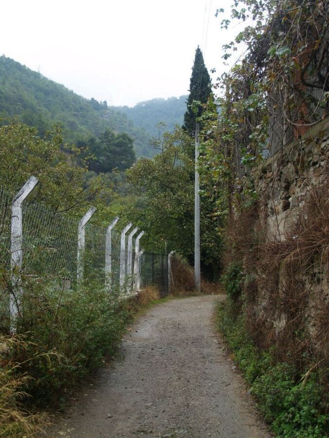 ÃƒÂƒÃ‚ÂƒÃƒÂ‚Ã‚Â–mer'in Objektiften BalÃƒÂƒÃ‚ÂƒÃƒÂ‚Ã‚Â§ova 004.jpg