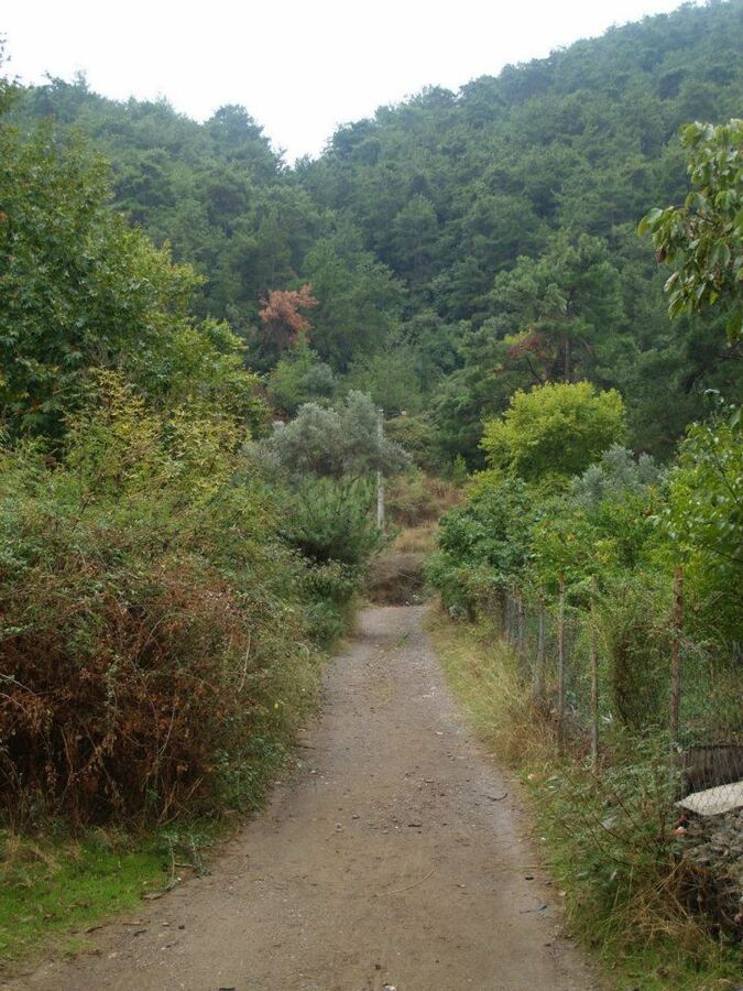 ÃƒÂƒÃ‚ÂƒÃƒÂ‚Ã‚Â–mer'in Objektiften BalÃƒÂƒÃ‚ÂƒÃƒÂ‚Ã‚Â§ova 005.jpg