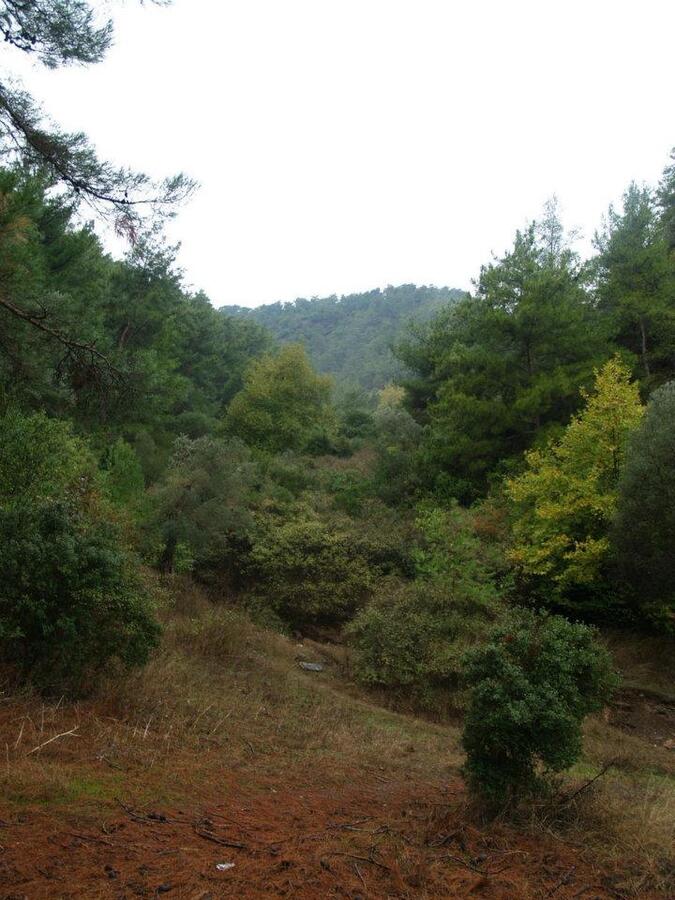 ÃƒÂƒÃ‚ÂƒÃƒÂ‚Ã‚Â–mer'in Objektiften BalÃƒÂƒÃ‚ÂƒÃƒÂ‚Ã‚Â§ova 006.jpg