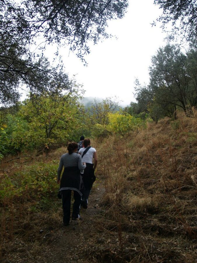 ÃƒÂƒÃ‚ÂƒÃƒÂ‚Ã‚Â–mer'in Objektiften BalÃƒÂƒÃ‚ÂƒÃƒÂ‚Ã‚Â§ova 008.jpg