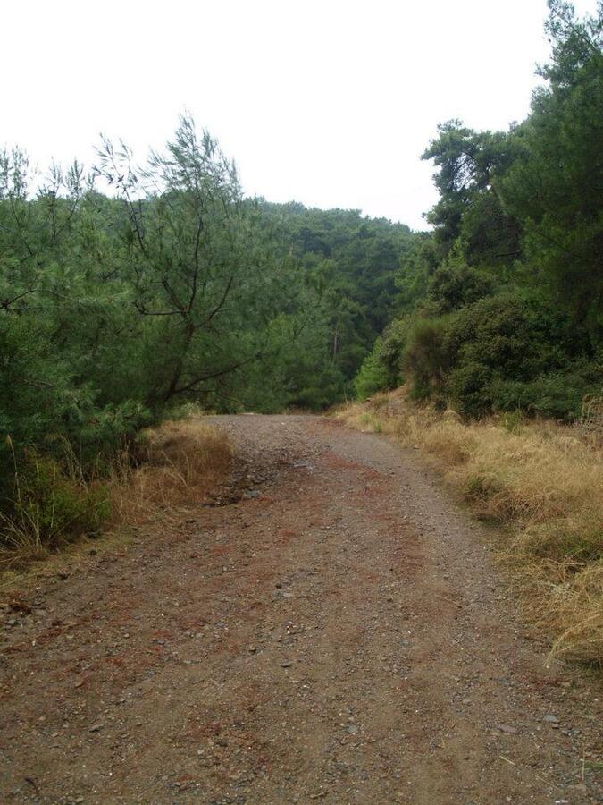 ÃƒÂƒÃ‚ÂƒÃƒÂ‚Ã‚Â–mer'in Objektiften BalÃƒÂƒÃ‚ÂƒÃƒÂ‚Ã‚Â§ova 009.jpg