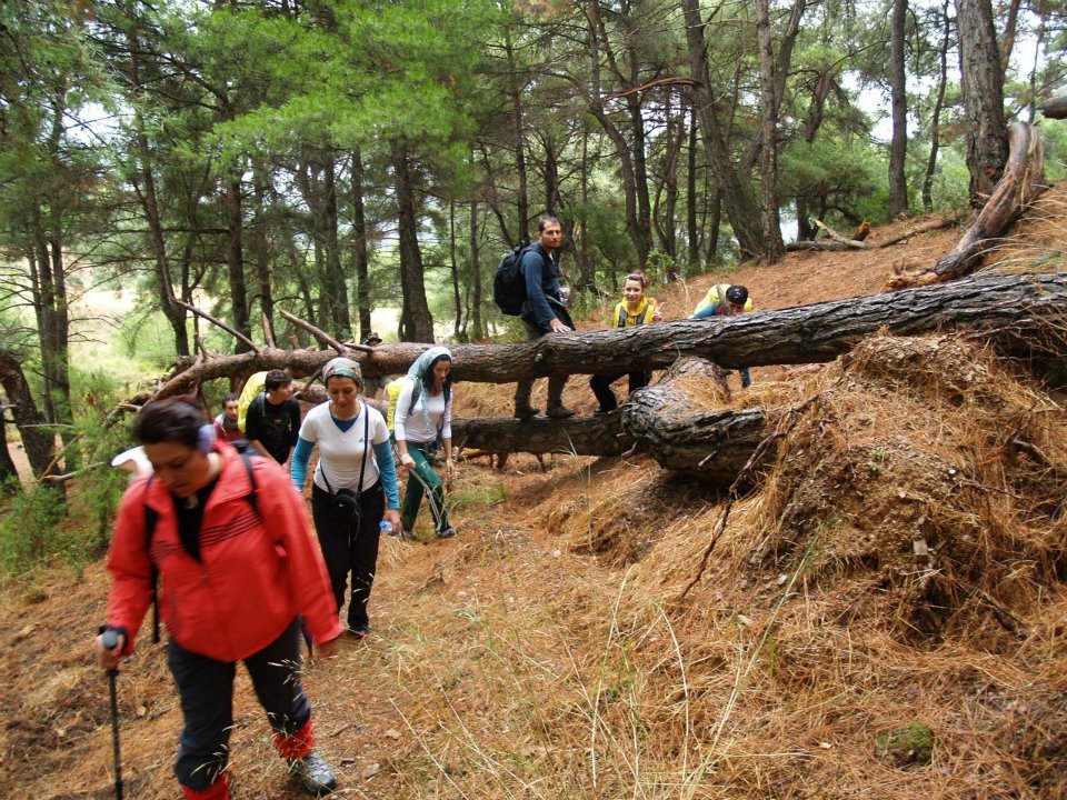 ÃƒÂƒÃ‚ÂƒÃƒÂ‚Ã‚Â–mer'in Objektiften BalÃƒÂƒÃ‚ÂƒÃƒÂ‚Ã‚Â§ova 013.jpg