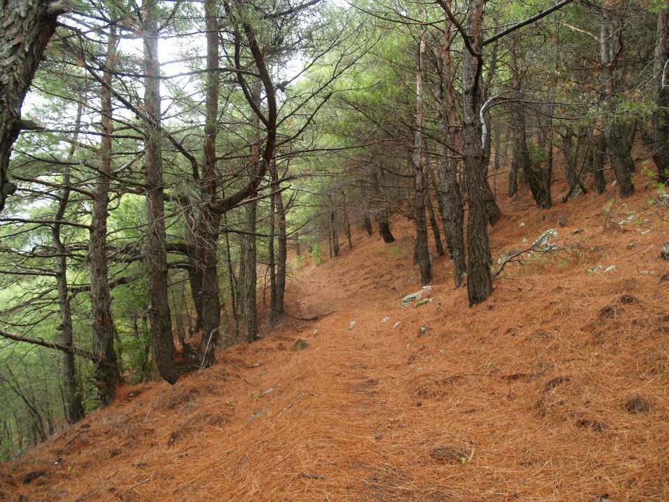 ÃƒÂƒÃ‚ÂƒÃƒÂ‚Ã‚Â–mer'in Objektiften BalÃƒÂƒÃ‚ÂƒÃƒÂ‚Ã‚Â§ova 021.jpg