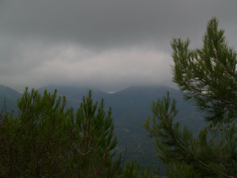 ÃƒÂƒÃ‚ÂƒÃƒÂ‚Ã‚Â–mer'in Objektiften BalÃƒÂƒÃ‚ÂƒÃƒÂ‚Ã‚Â§ova 034.jpg