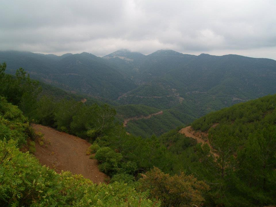 ÃƒÂƒÃ‚ÂƒÃƒÂ‚Ã‚Â–mer'in Objektiften BalÃƒÂƒÃ‚ÂƒÃƒÂ‚Ã‚Â§ova 035.jpg