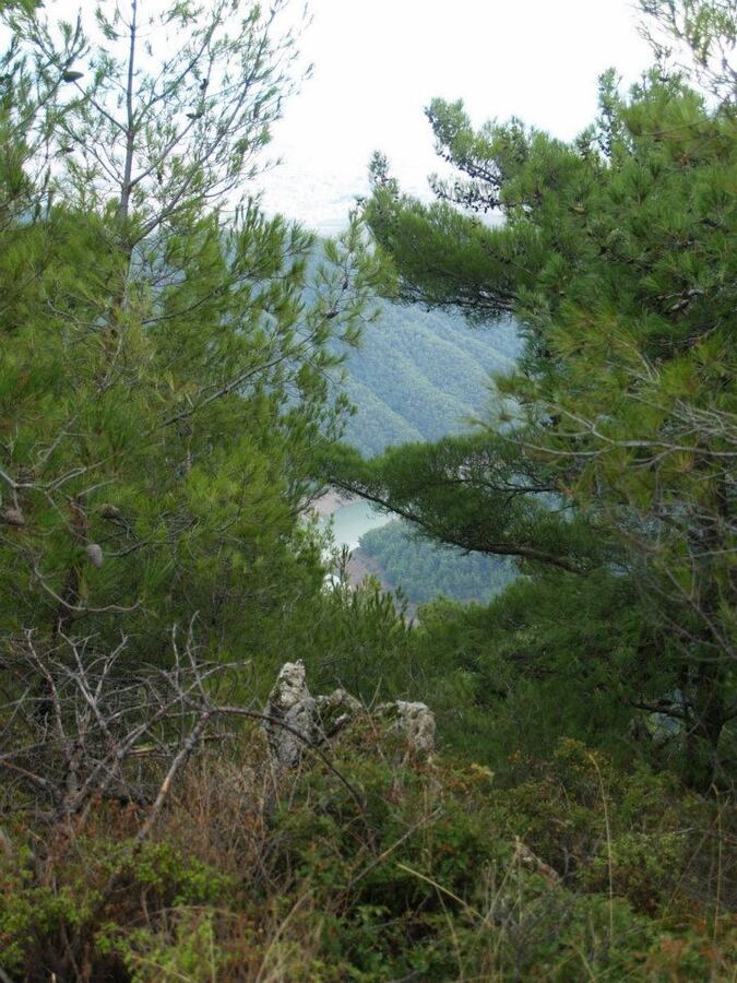 ÃƒÂƒÃ‚ÂƒÃƒÂ‚Ã‚Â–mer'in Objektiften BalÃƒÂƒÃ‚ÂƒÃƒÂ‚Ã‚Â§ova 041.jpg