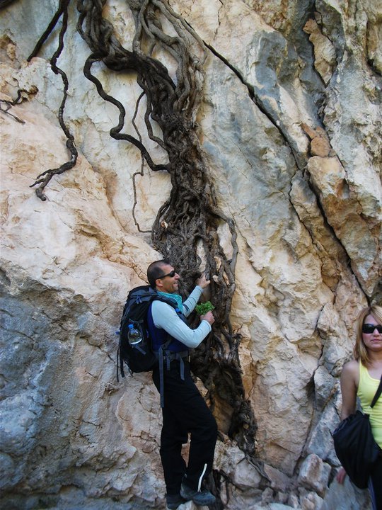 ÃƒÂƒÃ‚ÂƒÃƒÂ‚Ã‚Â–zkan'dan Nif GÃƒÂƒÃ‚ÂƒÃƒÂ‚Ã‚Â¼rlek 15.05.11 - 004.jpg