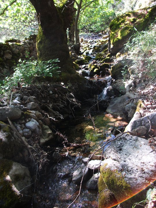 ÃƒÂƒÃ‚ÂƒÃƒÂ‚Ã‚Â–zkan'dan Nif GÃƒÂƒÃ‚ÂƒÃƒÂ‚Ã‚Â¼rlek 15.05.11 - 009.jpg