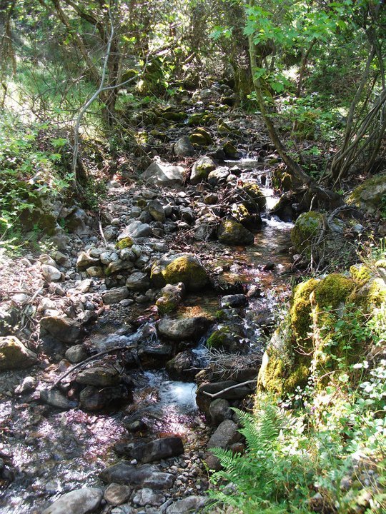 ÃƒÂƒÃ‚ÂƒÃƒÂ‚Ã‚Â–zkan'dan Nif GÃƒÂƒÃ‚ÂƒÃƒÂ‚Ã‚Â¼rlek 15.05.11 - 010.jpg