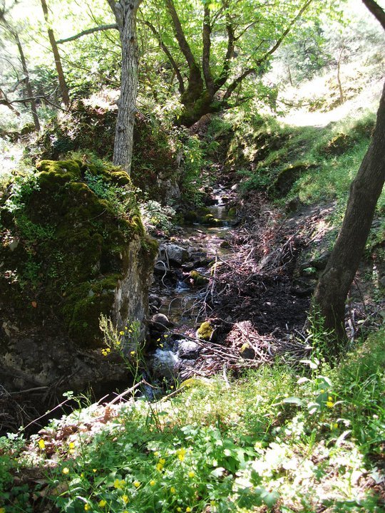 ÃƒÂƒÃ‚ÂƒÃƒÂ‚Ã‚Â–zkan'dan Nif GÃƒÂƒÃ‚ÂƒÃƒÂ‚Ã‚Â¼rlek 15.05.11 - 011.jpg