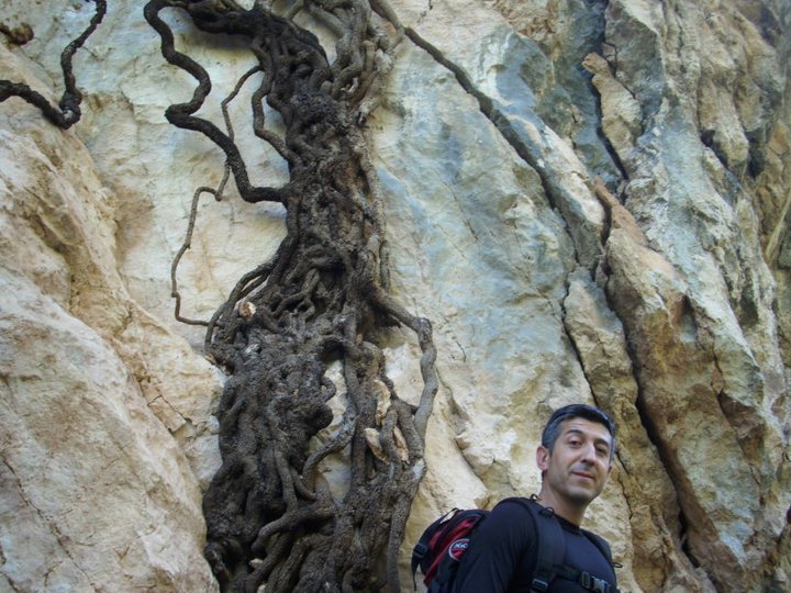 ÃƒÂƒÃ‚ÂƒÃƒÂ‚Ã‚Â–zkan'dan Nif GÃƒÂƒÃ‚ÂƒÃƒÂ‚Ã‚Â¼rlek 15.05.11 - 014.jpg