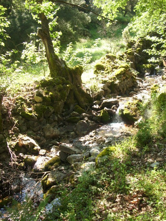 ÃƒÂƒÃ‚ÂƒÃƒÂ‚Ã‚Â–zkan'dan Nif GÃƒÂƒÃ‚ÂƒÃƒÂ‚Ã‚Â¼rlek 15.05.11 - 022.jpg