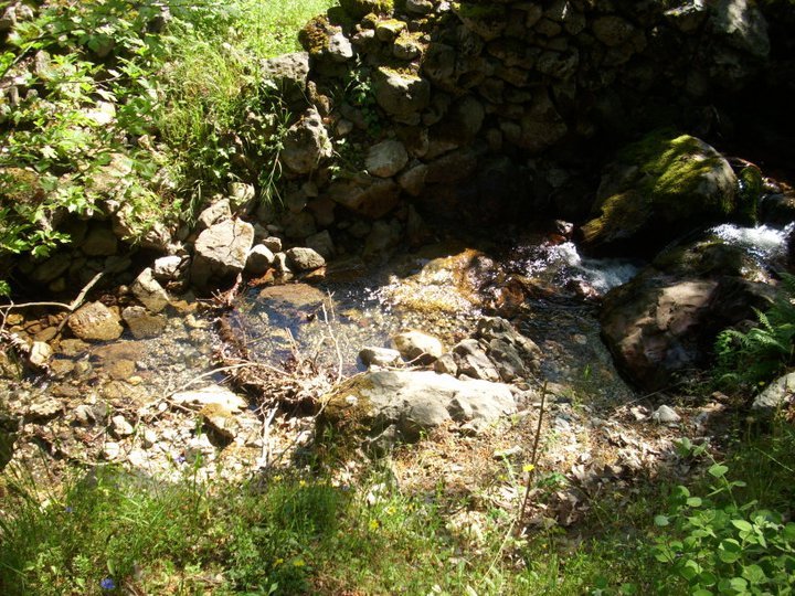 ÃƒÂƒÃ‚ÂƒÃƒÂ‚Ã‚Â–zkan'dan Nif GÃƒÂƒÃ‚ÂƒÃƒÂ‚Ã‚Â¼rlek 15.05.11 - 023.jpg