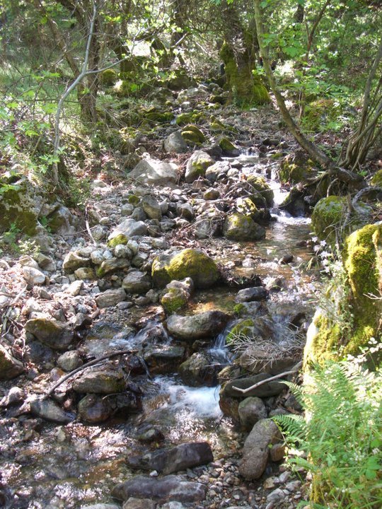 ÃƒÂƒÃ‚ÂƒÃƒÂ‚Ã‚Â–zkan'dan Nif GÃƒÂƒÃ‚ÂƒÃƒÂ‚Ã‚Â¼rlek 15.05.11 - 025.jpg