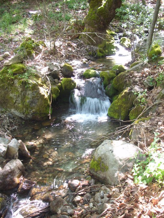 ÃƒÂƒÃ‚ÂƒÃƒÂ‚Ã‚Â–zkan'dan Nif GÃƒÂƒÃ‚ÂƒÃƒÂ‚Ã‚Â¼rlek 15.05.11 - 027.jpg