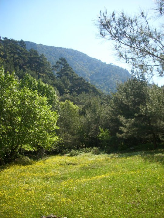 ÃƒÂƒÃ‚ÂƒÃƒÂ‚Ã‚Â–zkan'dan Nif GÃƒÂƒÃ‚ÂƒÃƒÂ‚Ã‚Â¼rlek 15.05.11 - 030.jpg