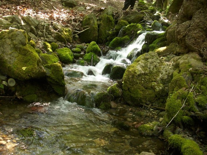 ÃƒÂƒÃ‚ÂƒÃƒÂ‚Ã‚Â–zkan'dan Nif GÃƒÂƒÃ‚ÂƒÃƒÂ‚Ã‚Â¼rlek 15.05.11 - 034.jpg