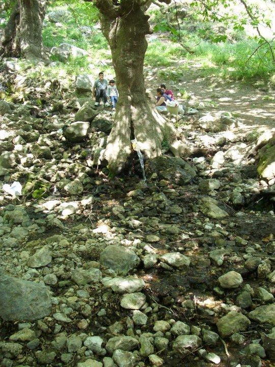 ÃƒÂƒÃ‚ÂƒÃƒÂ‚Ã‚Â–zkan'dan Nif GÃƒÂƒÃ‚ÂƒÃƒÂ‚Ã‚Â¼rlek 15.05.11 - 051.JPG