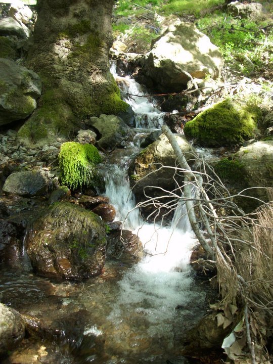 ÃƒÂƒÃ‚ÂƒÃƒÂ‚Ã‚Â–zkan'dan Nif GÃƒÂƒÃ‚ÂƒÃƒÂ‚Ã‚Â¼rlek 15.05.11 - 053.jpg